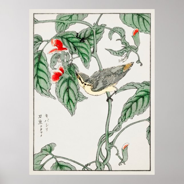Póster Aves japonesas 2 (Frente)