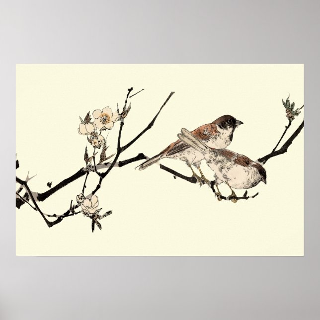 Póster Aves japonesas antiguas y flores de cerezo (Frente)