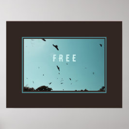 Póster Aves libres en el cielo