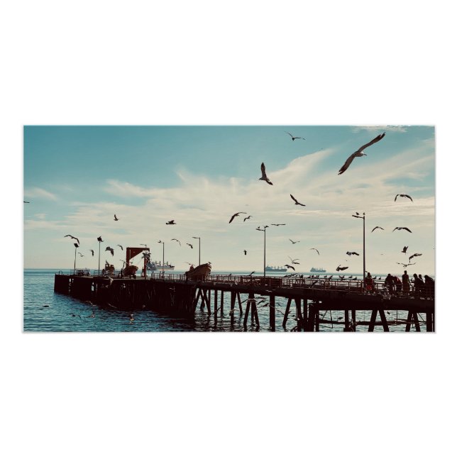 Póster Aves marinas sobre el muelle (Anverso)