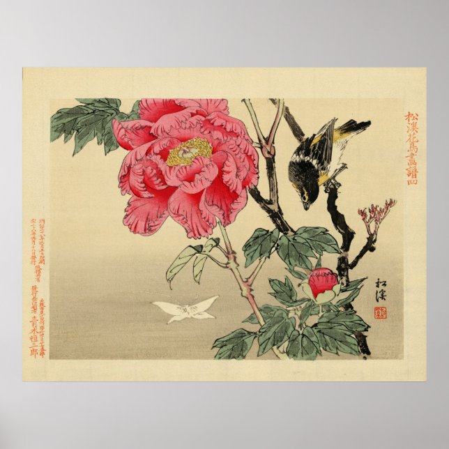 Póster Aves mirando una mariposa (Frente)