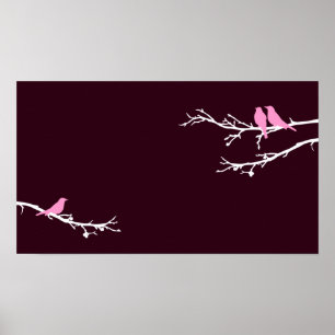 Póster aves modestas