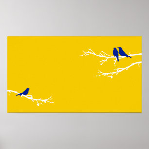 Póster aves modestas