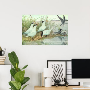 Póster Aves playeras vintage en una marisma de Louis Fuer