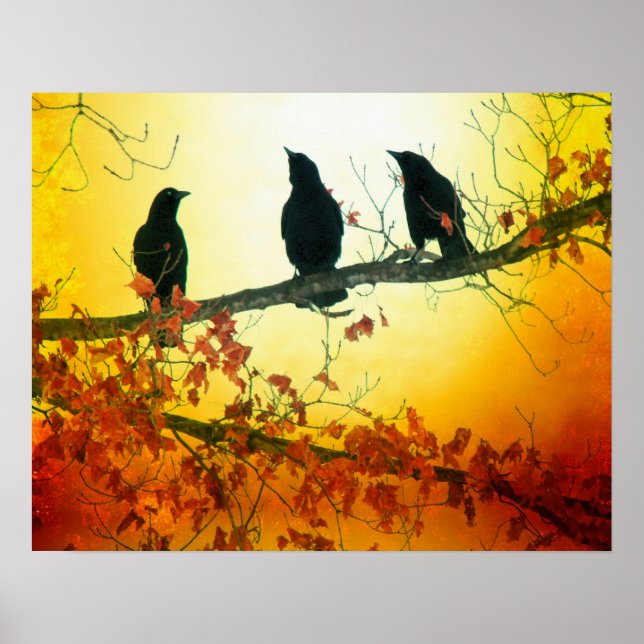 Póster Aves silvestres (Frente)