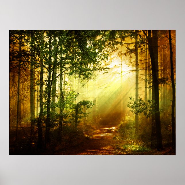 Póster Aves solares (Frente)