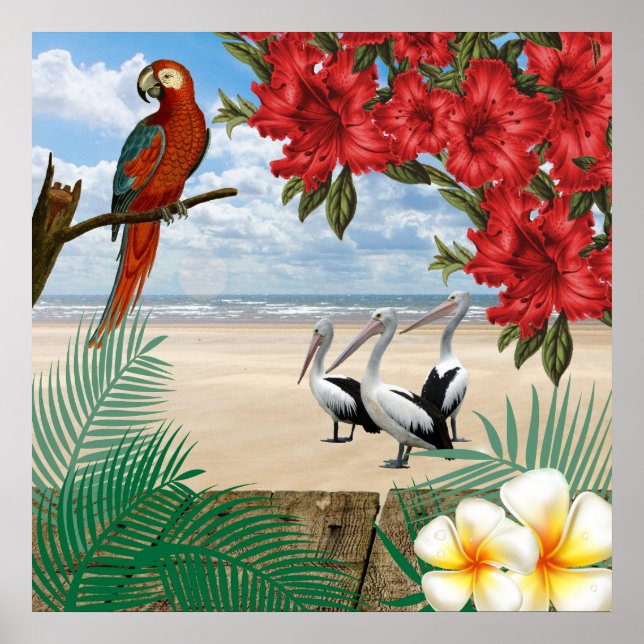 Póster Aves tropicales en la playa (Frente)