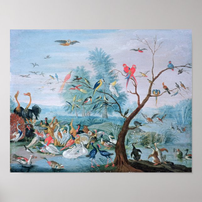 Póster Aves tropicales en un paisaje (Frente)