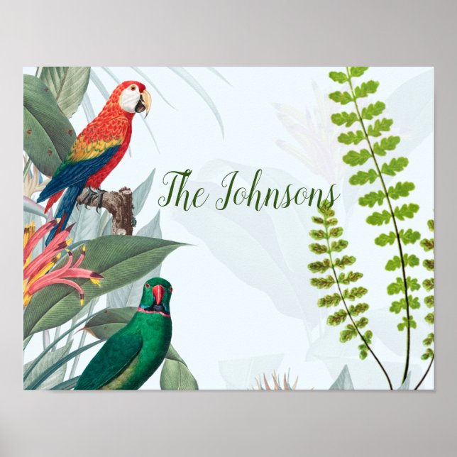 Póster Aves tropicales loros y follaje (Frente)