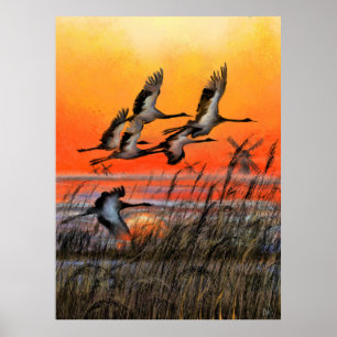 Poster Aves Volando al Atardecer Impresión - Pintu