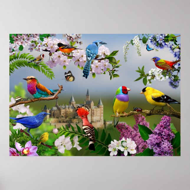Póster Aves y flores Hermosa imagen con aves (Frente)