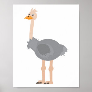 Póster Avestruz