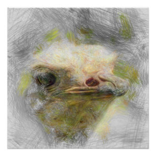Póster avestruz animal artístico