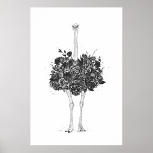 Póster Avestruz floral