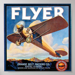 Póster Aviador