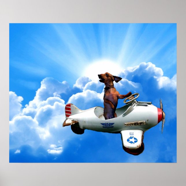 Póster "Aviador de Dachshund" por Zermeno (Frente)
