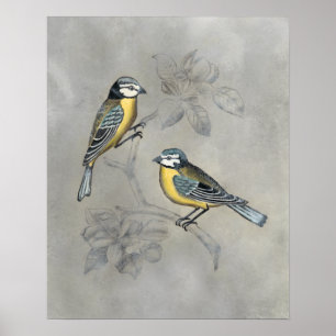 Póster Aviario silencioso Pareja de pájaros