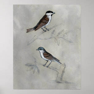 Póster Aviario silencioso Un Par De Aves