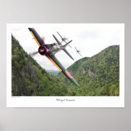 Póster Aviation Art Poster "Winged Samurai Zero"