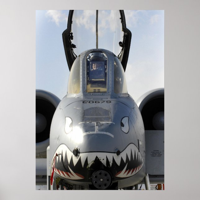 Póster Avión A-10 Thunderbolt II (Frente)
