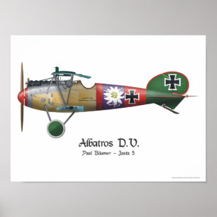 Póster Avión de combate alemán Bäumer de Albatros D.V.