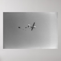 Avión de saltar de paracaidistas blancos y negros