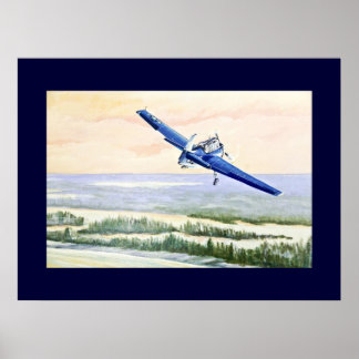 Póster Avión de Vintage