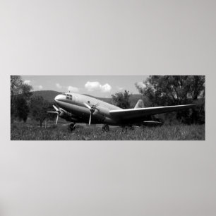 Póster Avión Vintage
