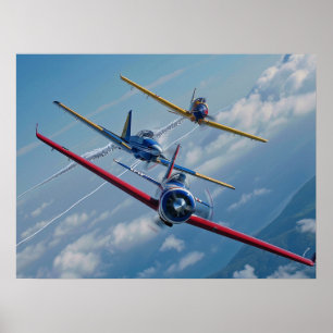Póster Aviones aerobáticos