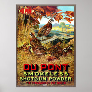 Póster Aviso de polvo para escopeta sin humo 1913