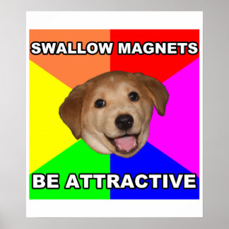 Póster Aviso Perro Tragar imanes