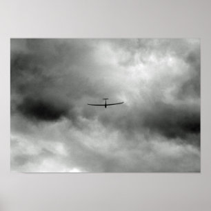 Póster Avispado volando en el cielo gris