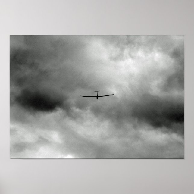 Póster Avispado volando en el cielo gris (Frente)