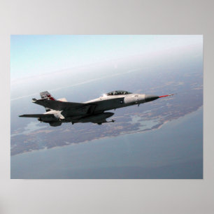 Póster Avispón estupendo F/A-18