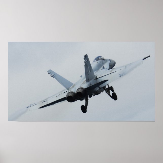 Póster Avispón F/A-18 (Frente)