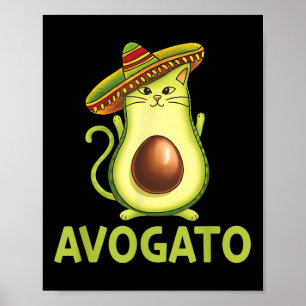 Póster Avogatos Mexicanos Cinco De Mayo Fiesta Hombres Fi