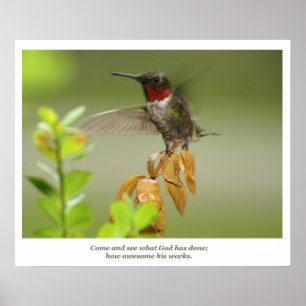 Póster Awesome Hummingbird
