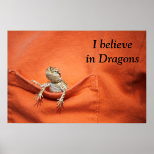 Póster awesome poster for the reptile/bearded dragon fan