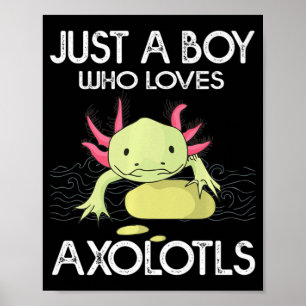 Póster Axolotl Regalo Anime Japonés Solo Un Niño Que Ama 