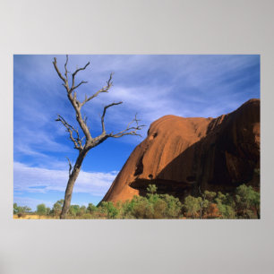Póster Ayers Rock Uluru in the Outback Australia