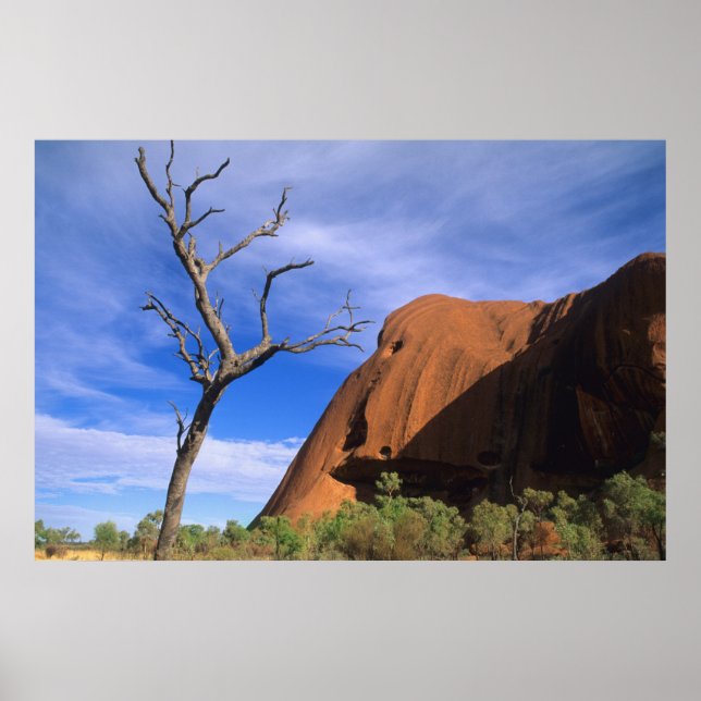 Póster Ayers Rock Uluru in the Outback Australia (Frente)