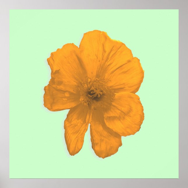 Póster Ayuda naranja/ Flor PopArt (Frente)