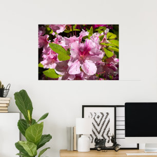 Póster Azalea,