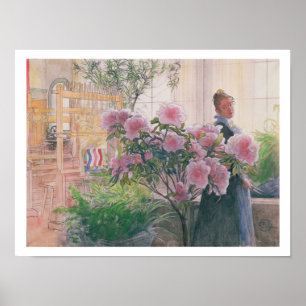 Póster Azalea, 1906 (w/c en el papel)