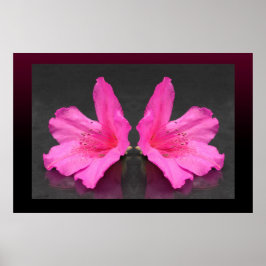Póster Azalea Poster Mirrored -36x24 -otros tamaños