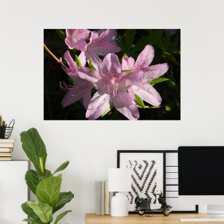 Póster Azaleas en el Poster Sunshine