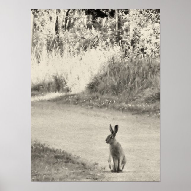 Póster Azar hoy (Frente)