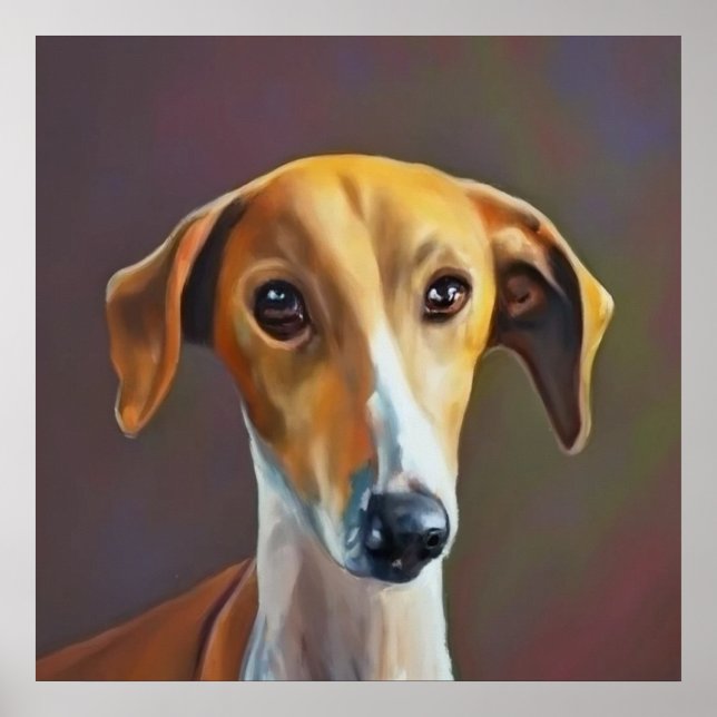 Póster Azawakh - Retrato de perro (Frente)