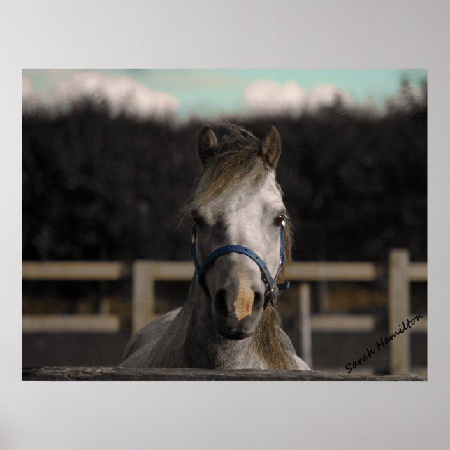 Póster Azul (Frente)