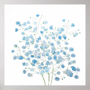 Póster azul claro Baby Breath Bouquet gypsophila
